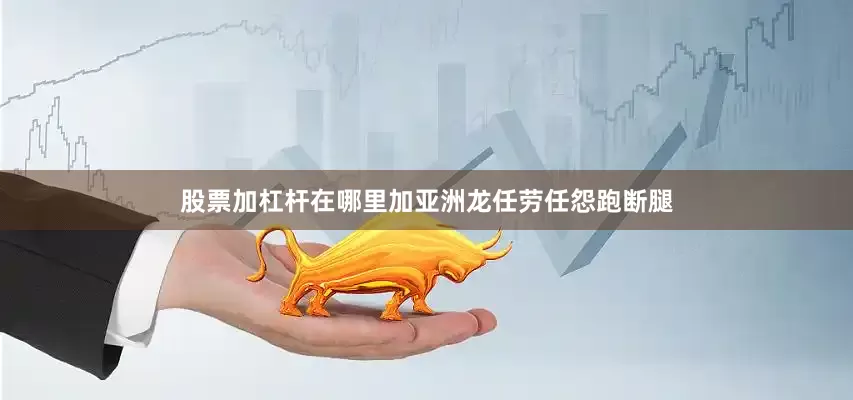 股票加杠杆在哪里加亚洲龙任劳任怨跑断腿