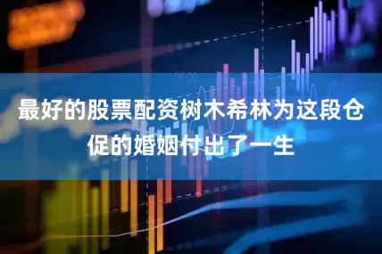 最好的股票配资树木希林为这段仓促的婚姻付出了一生