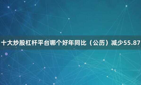 十大炒股杠杆平台哪个好年同比（公历）减少55.87