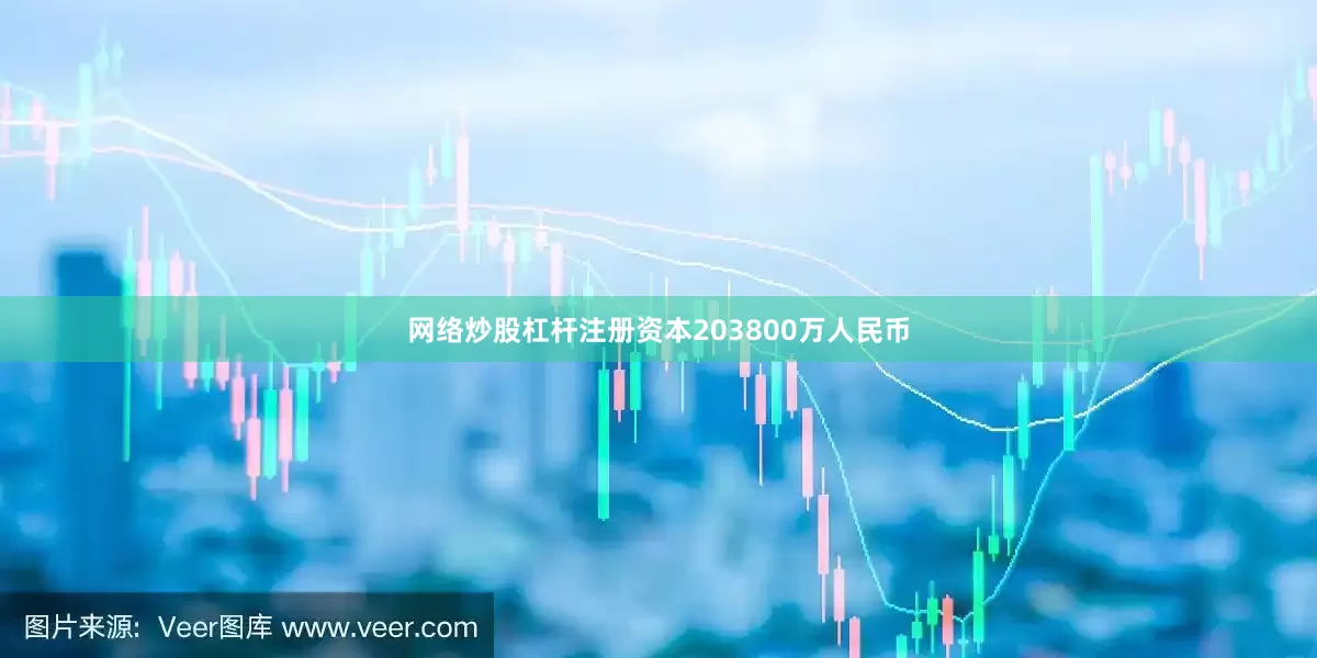 网络炒股杠杆注册资本203800万人民币